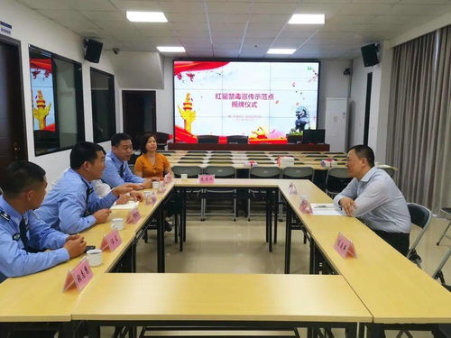 為民辦實(shí)事 同安區(qū)司法局教育整頓出實(shí)效，成果轉(zhuǎn)化惠民生